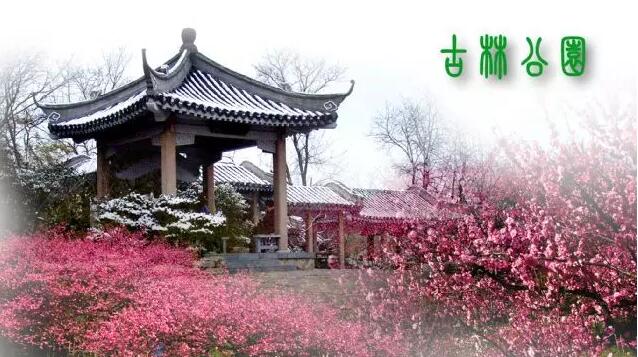 <b>【南京三门湾电器】周日4.24古林公园赏牡丹花、</b>
